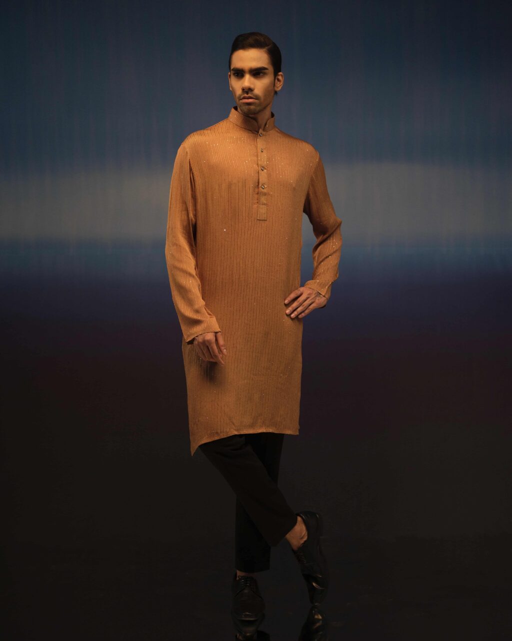 Sleek Premium Punjabi