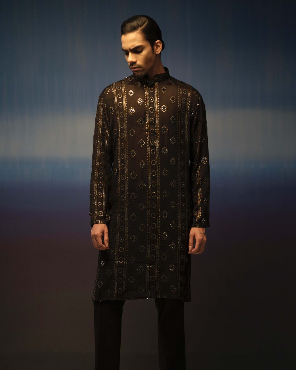 Sleek Premium Punjabi
