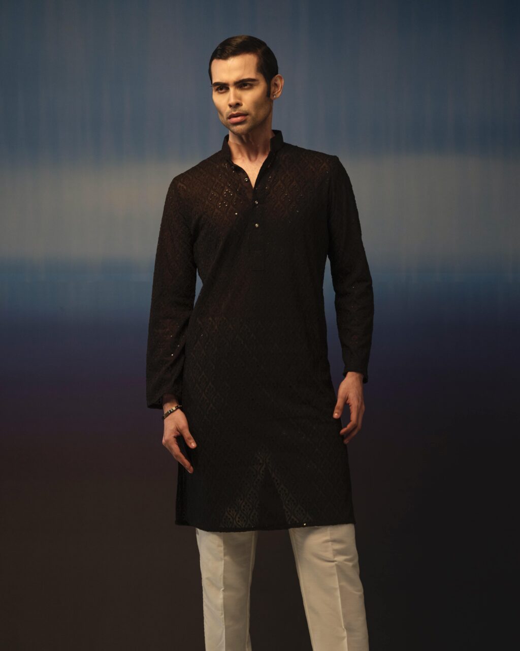 Sleek Premium Punjabi