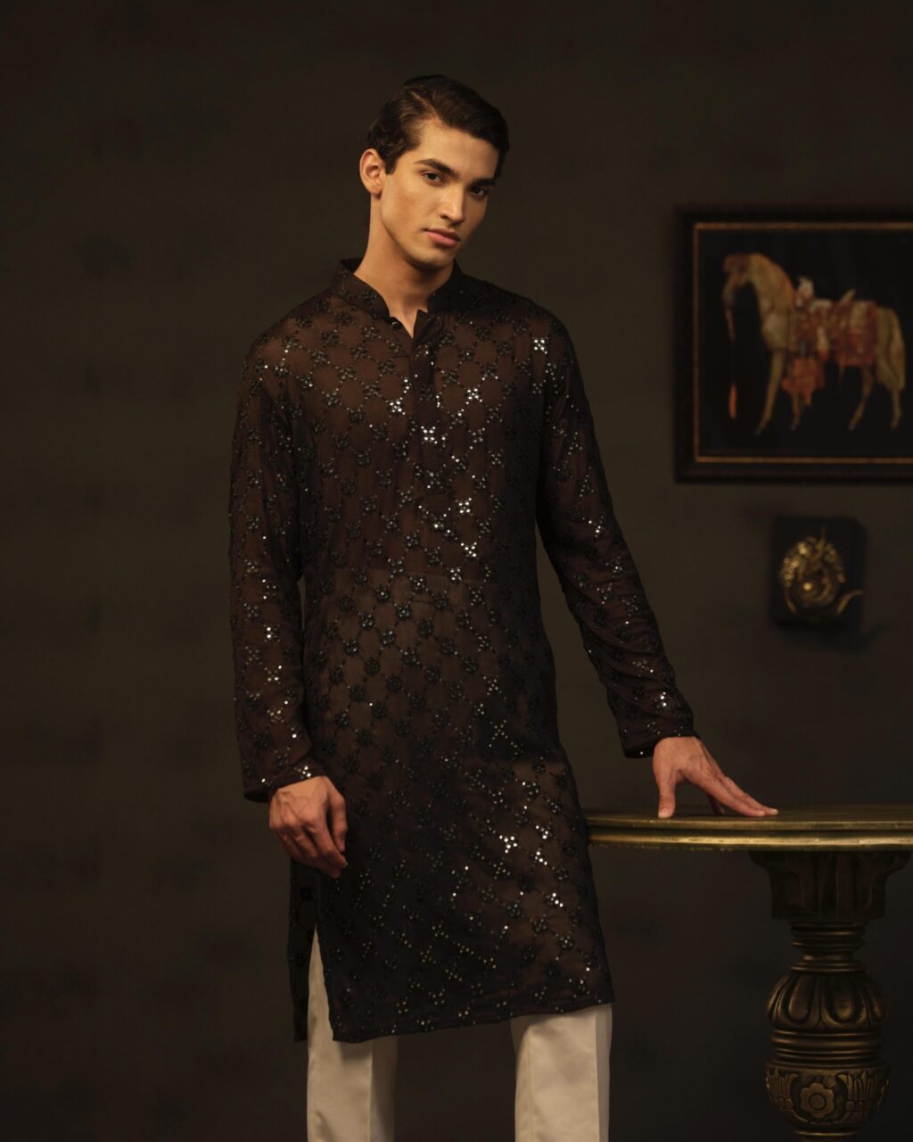 Sleek Premium Punjabi