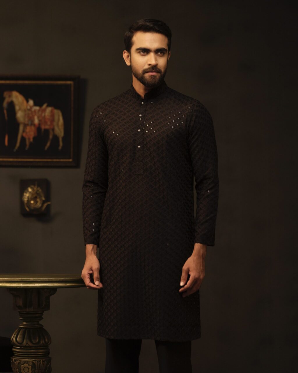 Sleek Premium Punjabi