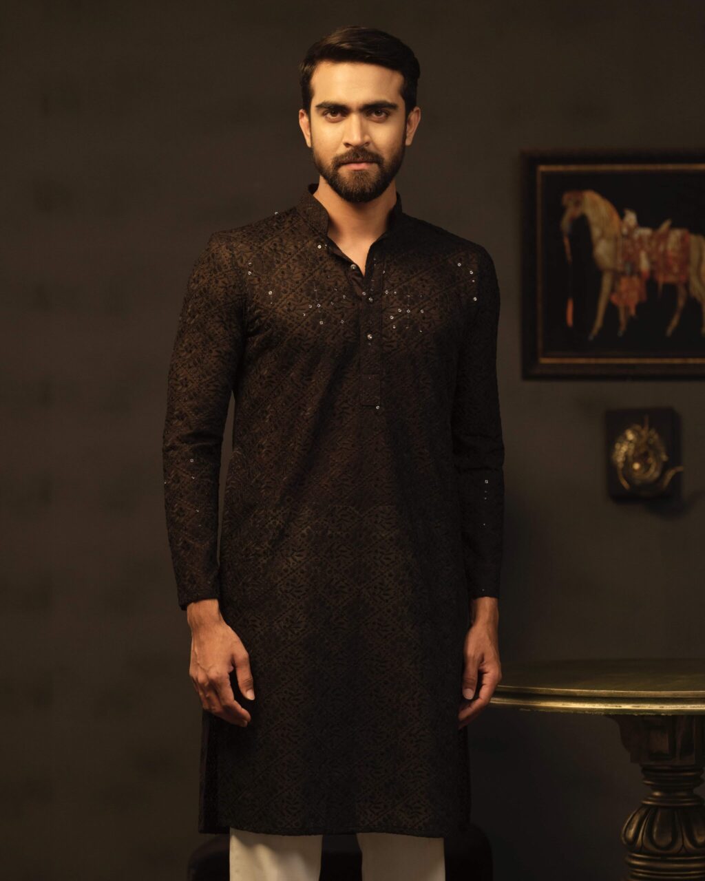 Sleek Premium Punjabi