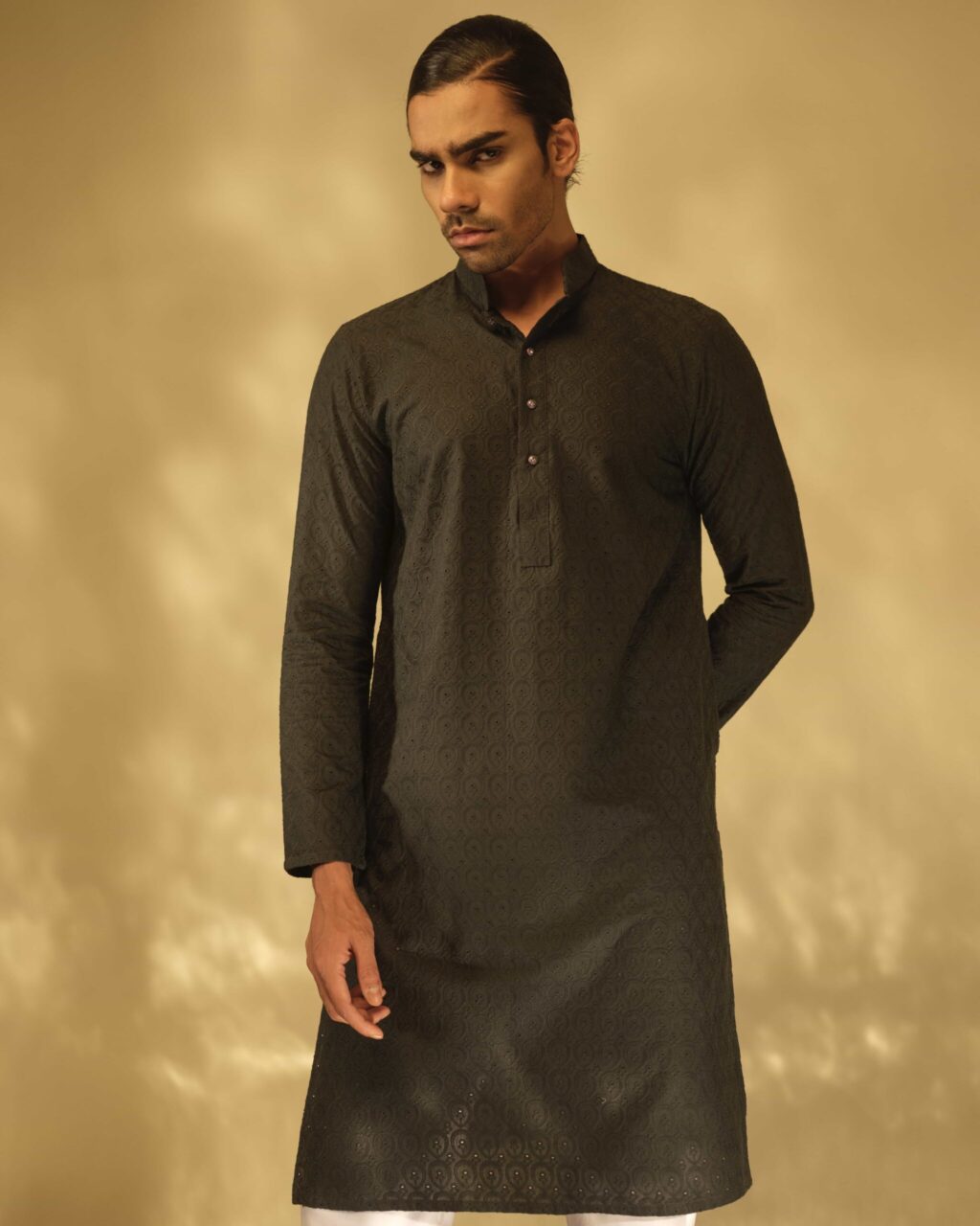Sleek Chikankari Punjabi