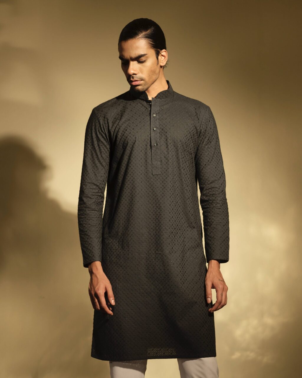 Sleek Chikankari Punjabi