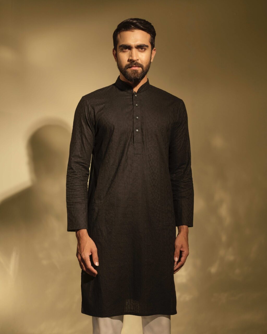 Sleek Chikankari Punjabi