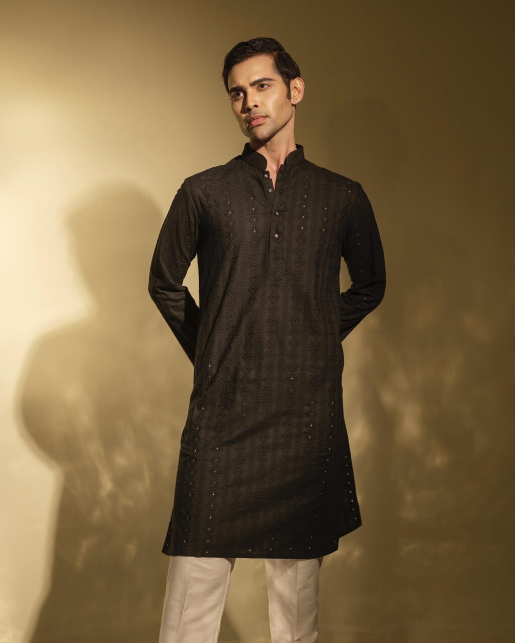 Sleek Chikankari Punjabi