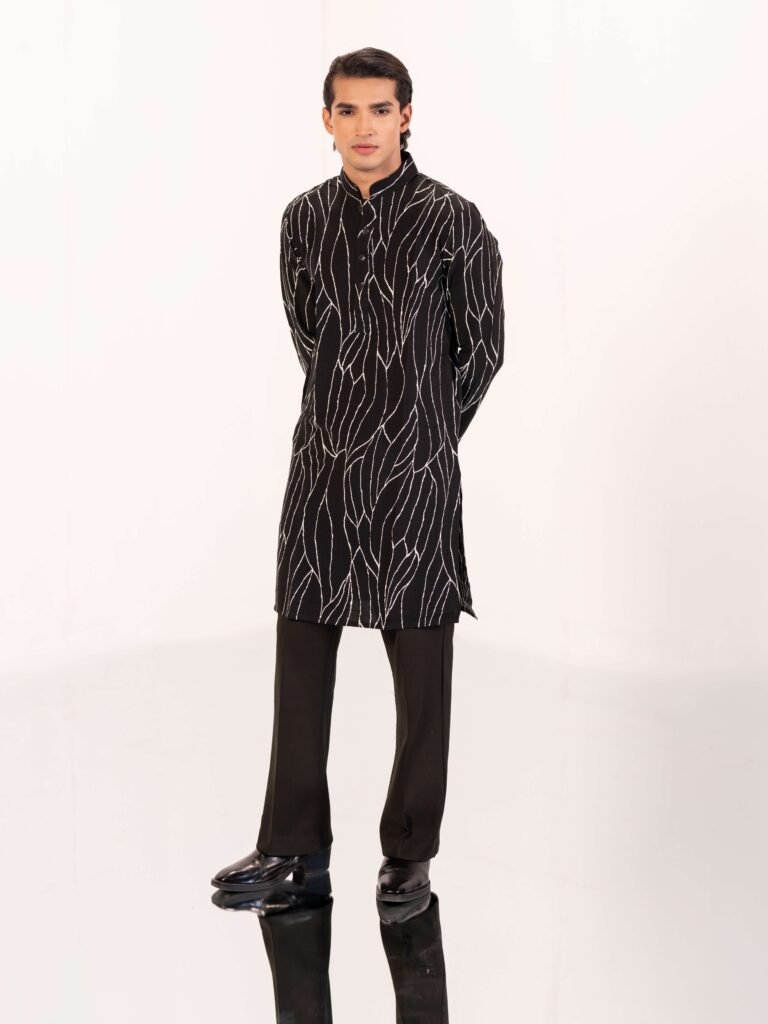 Sleek Premium Punjabi