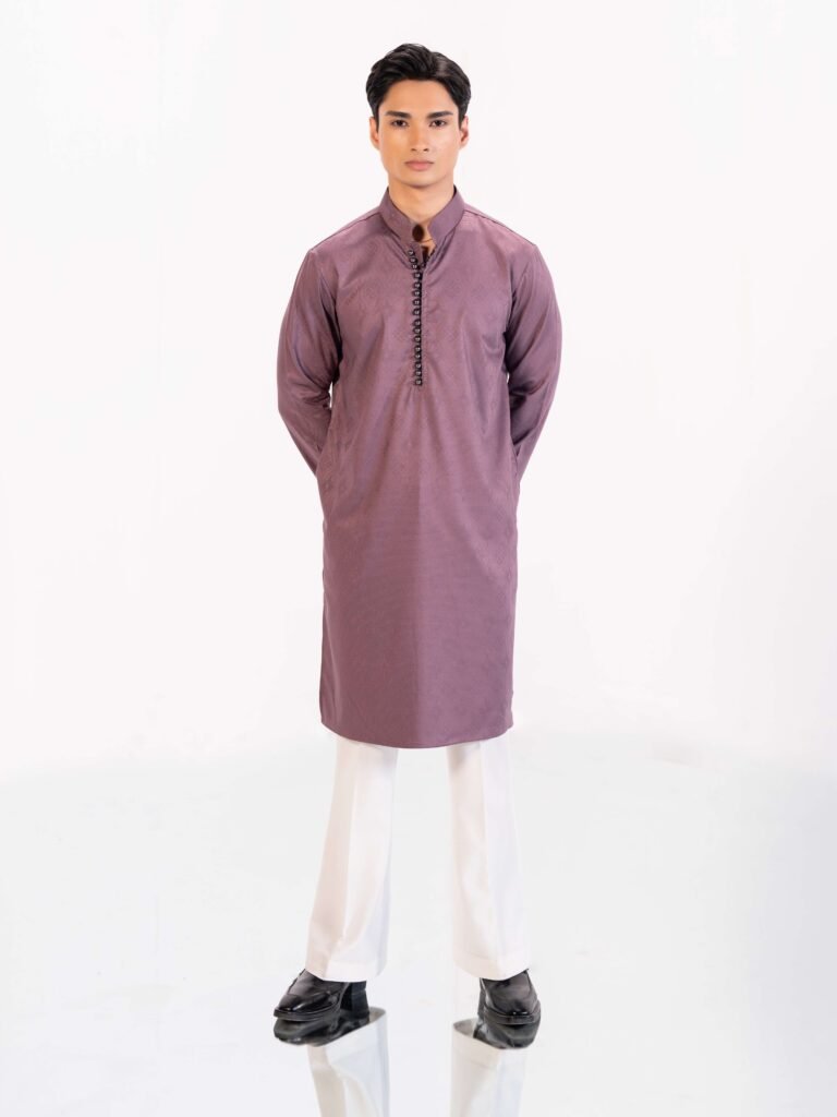 Sleek Premium Punjabi