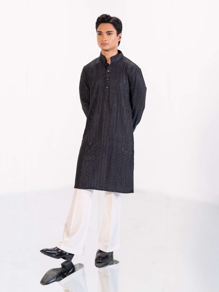 Sleek Premium Punjabi