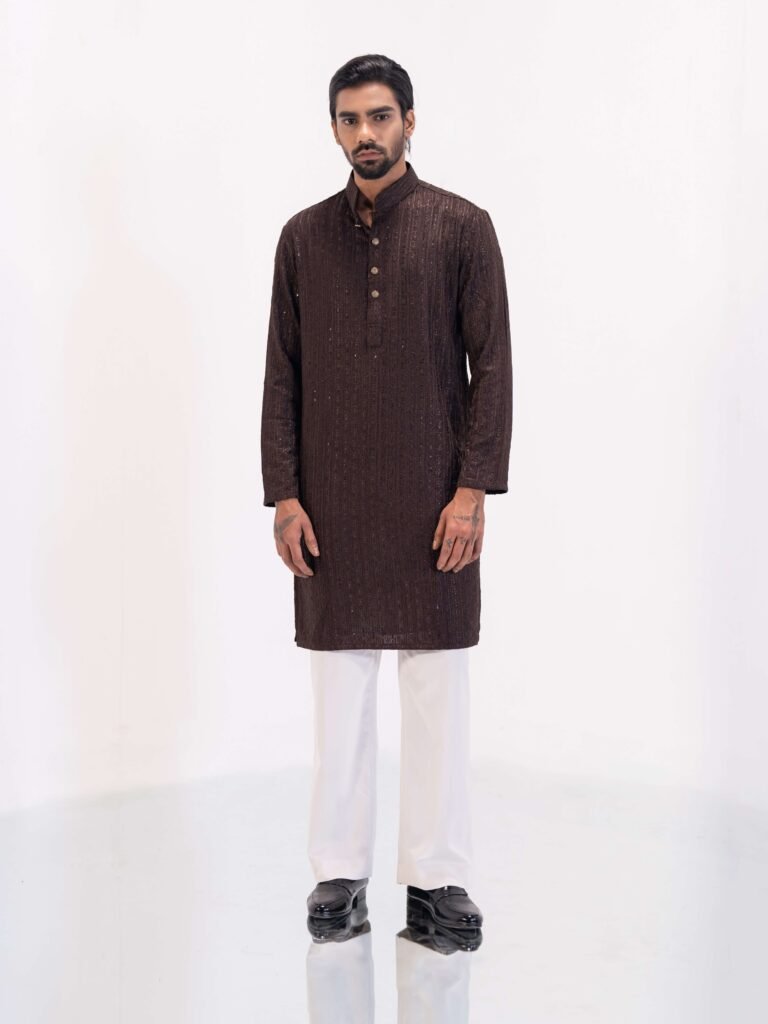 Sleek Premium Punjabi