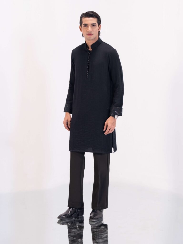 Sleek Premium Punjabi