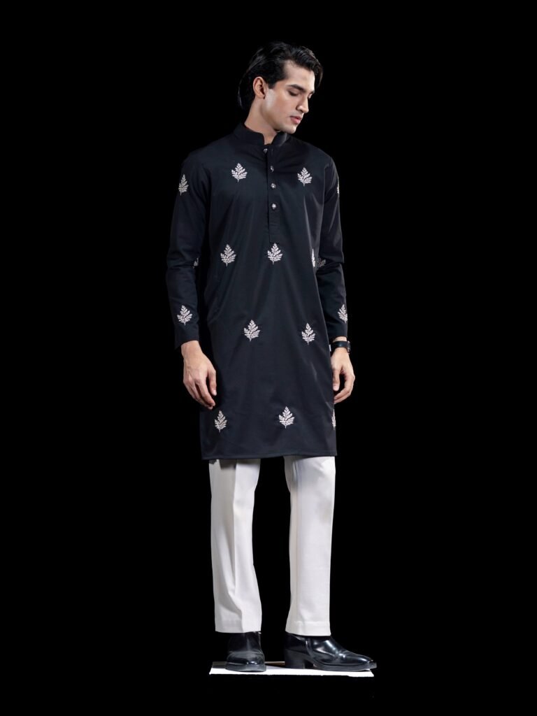 Sleek Premium Punjabi