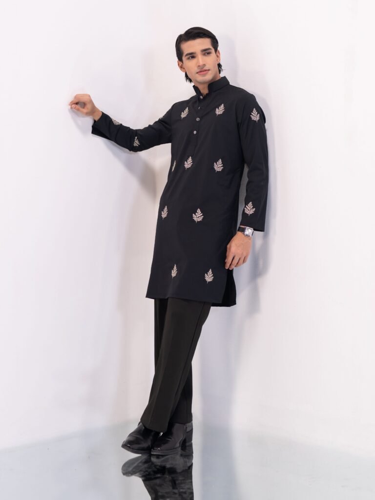 Sleek Premium Punjabi